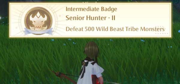 Noah’s Heart Senior Hunter Badge 2 Achievement Unlock
